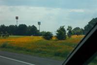 Highlight for album: Road trip to Indiana to visit family
