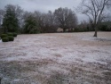 Newnan, GA  1-29-05  taken by Kathi Delp