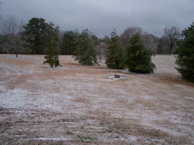 Newnan, GA  1-29-05  taken by Kathi Delp