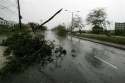 A tree is seen knocked down by the strong winds during the pass of Hurricane Dean in downtown Kingston, Jamaica, Sunday, Aug. 19, 2007. Hurricane Dean pummeled Jamaica with strong winds and torrential rains Sunday after Prime Minister Portia Simpson Miller made a last-minute plea for residents to abandon their homes and head for shelter. (AP Photo/Andres Leighton) 